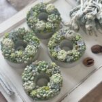 Four miniature succulent wreaths in white ceramic pots on a white wooden tray.