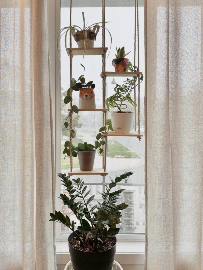 Houseplants on hanging wooden shelves positioned in front of a bright window